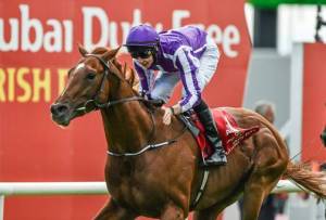 Australia cost just 525,000 Guineas.